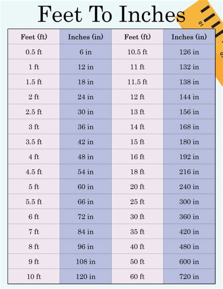 A Comprehensive Dive Into His Height In Feet