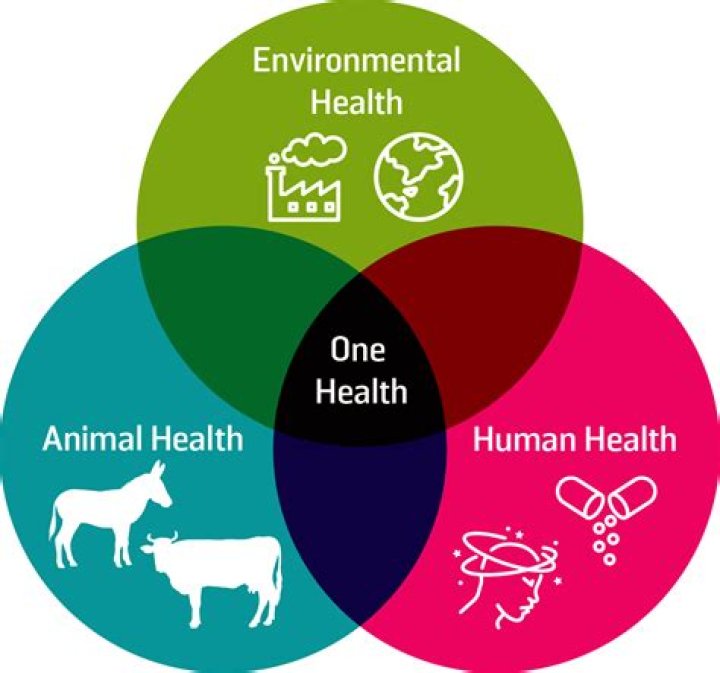 A Haven For Animal Welfare And Community Involvement