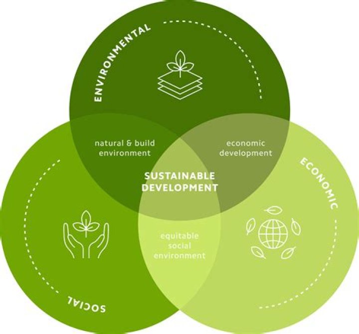 A Journey Of Flavor, Sustainability, And Connection