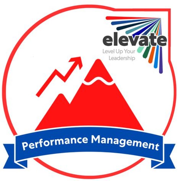 Discoveries And Insights To Elevate Your Performance
