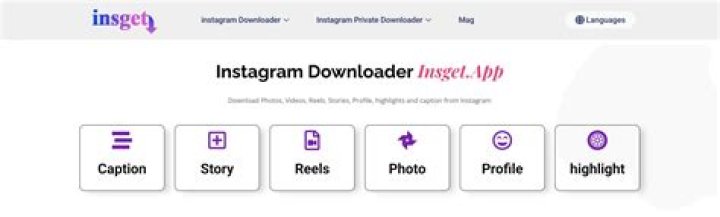 Download Instagram Content with Insget Downloader |