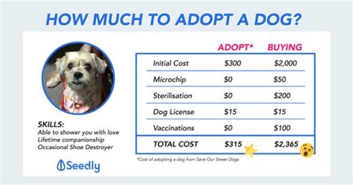 How Much Does It Cost to Adopt a Dog? |