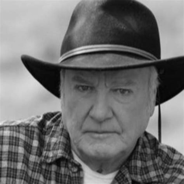 James Best Net Worth How Much Is James Best Worth? |