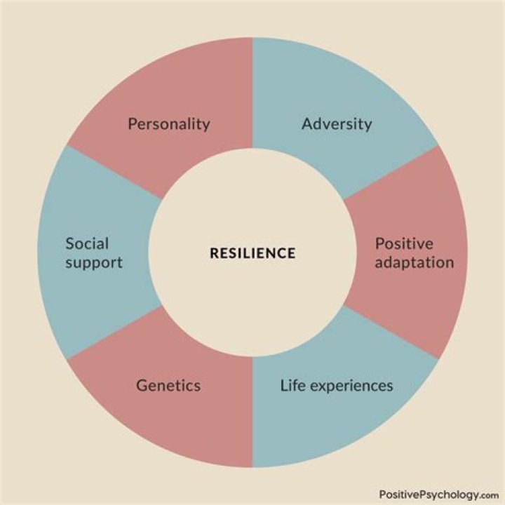 Journey Of Love, Support, And Resilience