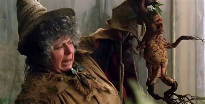 Miriam Margolyes Net Worth How Much is Margolyes Worth?