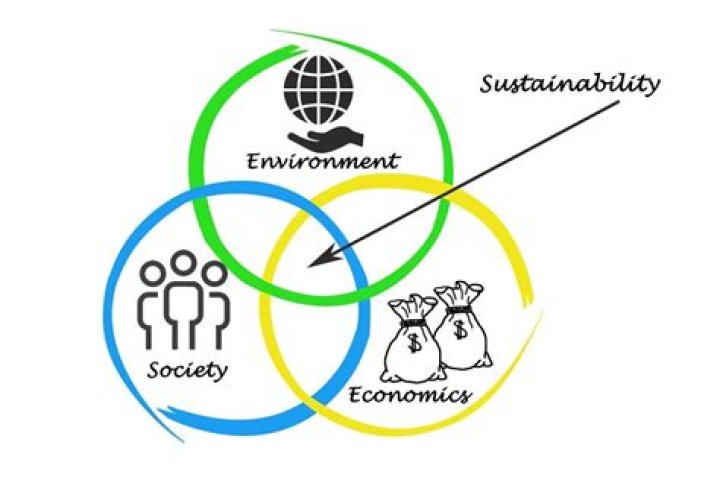 Sustainability, Empowerment, And Entrepreneurial Success