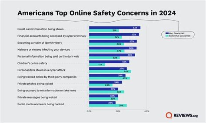 Uncovering Privacy, Consent, And Online Safety Concerns