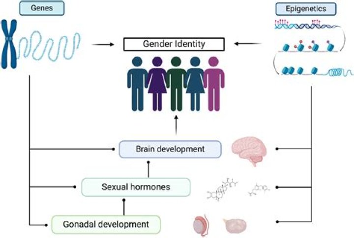 Unveiling Caitlin Clark's Transgender Identity: Discoveries And Insights