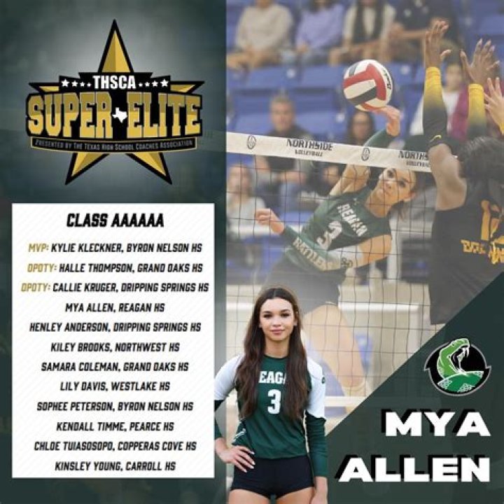 Unveiling Mya Allen: Volleyball Superstar's Wikipedia Treasures