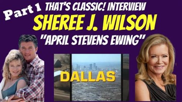 Unveiling Sheree J. Wilson's Dallas Days, Personal Life, And Beyond