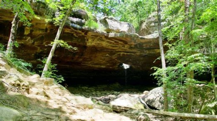 Unveiling The Hidden Gems Of Clarksville: Explore, Discover, And Delight