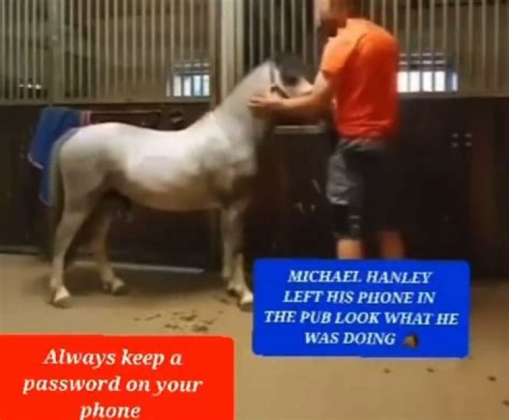Unveiling The Mastery Of "Michael Hanley Horse": A Journey Of Discovery