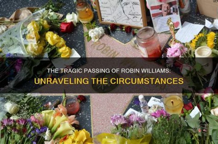 Unveiling The Tragic Circumstances Behind Robin Williams' Son's Demise